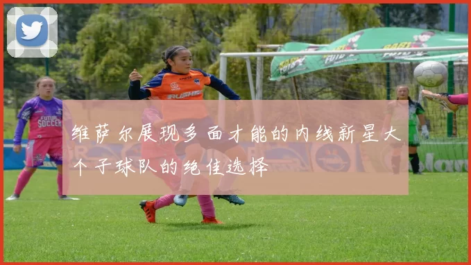 维萨尔展现多面才能的内线新星大个子球队的绝佳选择